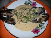 Gambar ikan keli merah