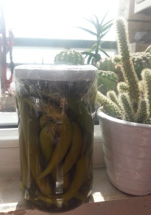 عکسی از دستور فلفل ترشی