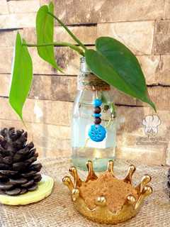 عکسی از دستور ادویه قیمه