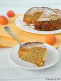 Torta integrale di albicocche