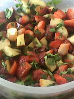 A picture of Fruit Salsa.