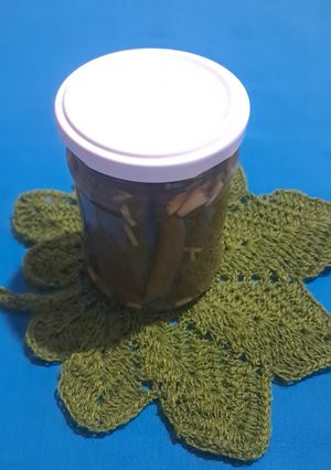 عکسی از دستور کنسرو برگ مو شور