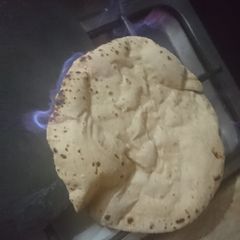 A picture of Rotti.