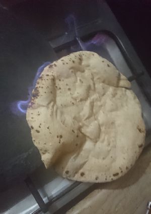 A picture of Rotti.