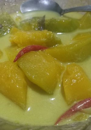 Foto resep Sayur Gulai Labu