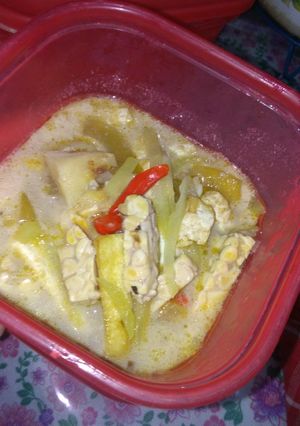 Foto resep Tumis lodeh labu siam