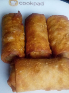 A picture of Beef spring rolls.