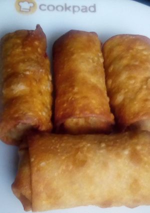 A picture of Beef spring rolls.