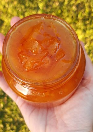 Una foto de Chutney de durazno y una infiltrada