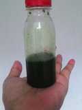 Essence pandan homemade
