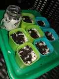 Cheese Cake Oreo