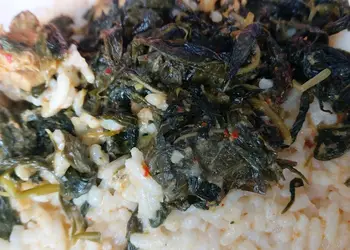 Resep Terbaik Chicken Papaya Leaves Risotto (Nasi Panggang Daun Pepaya Ayam) Ala Warung