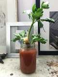 Bloody Mary a mi estilo