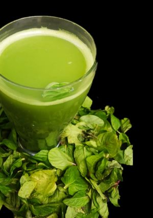 વેજીટેબલ જ્યુસ (Vegetable Juice Recipe In Gujarati) રેસીપી મુખ્ય ફોટો