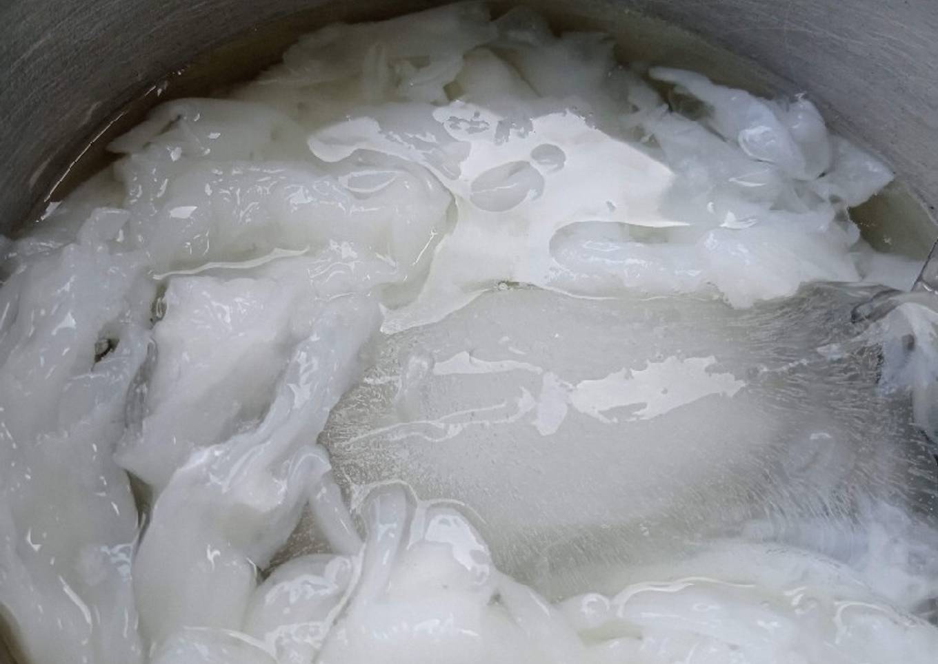 Es kelapa kopyor kw(nutrijel)