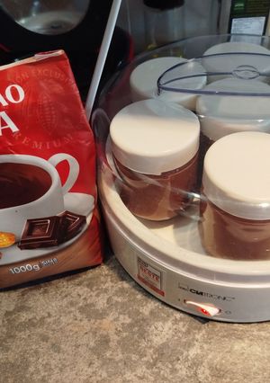 Una foto de Yogur individual con chocolate a la taza en yogurtera a tu gusto