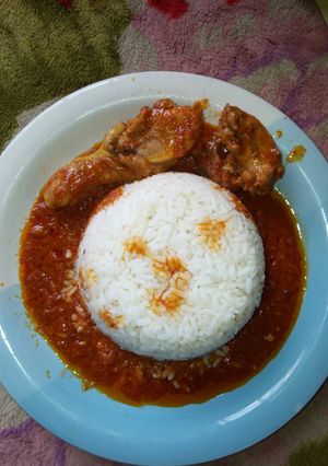 A picture of White rice and chicken stew.