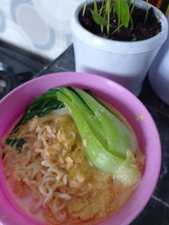 Foto resep Mie kuah susu