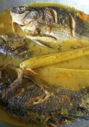 Foto resep Mujaer kuah kuning😊