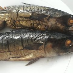 Smoked titus fish A picture of Smoked titus fish.