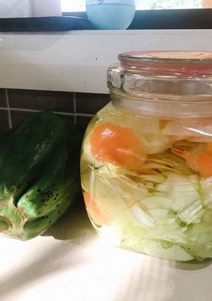 Hình của món Đu đủ ngâm chua thơm giòn siêu dễ siêu nhanh 🥗.
