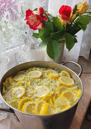 Bevált bodzaszörp recept recept fotója