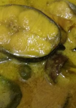 Foto resep Ikan patin kuah padang