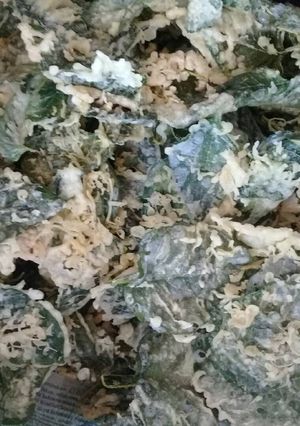 Foto resep Keripik bayam kriukk