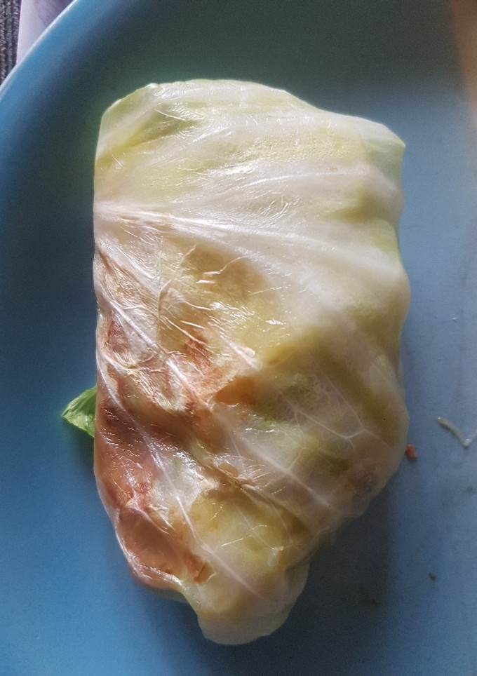 A picture of Cabbage wrap.