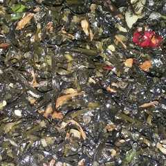 รูปของ Tumis daun mengkudu/ teri