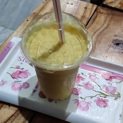 A picture of Shake.