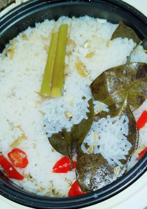Foto resep Nasi liwet teri magic com