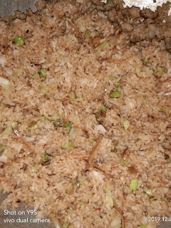 Foto resep Nasi Goreng Petai Teri