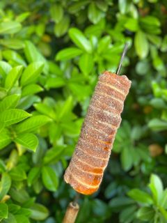 Kürtőskalács recept fotója