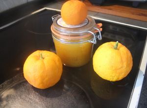 Foto principal de Mermelada de mandarinas amargas
