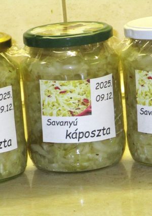 Savanyú káposzta házilag recept fotója