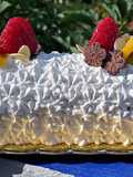 Jelly roll frutal