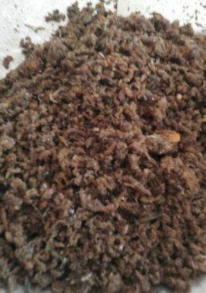 Foto resep Abon ikan sambal terasi