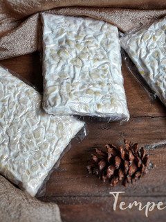 Foto resep Tempe Homemade