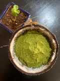 Torai chilka chutney (Ridge gourd skin chutney)