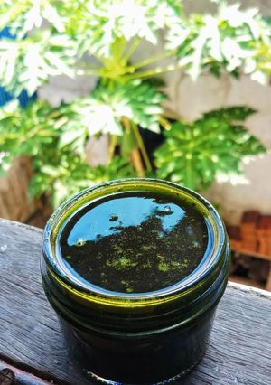 Foto resep Xiang Chun / Chinese Cedar Vegan