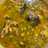 Soto Ayam Resep Mama