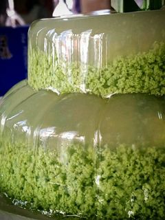 Foto resep Puding Lumut