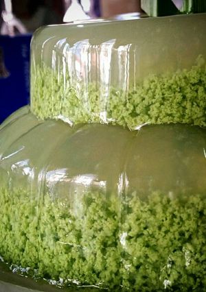 Foto resep Puding Lumut