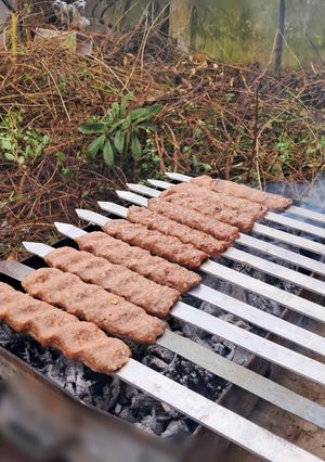 عکسی از دستور کباب کوبیده سیزده بدر😋😍