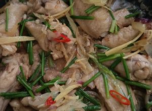 Gambar Ayam Halia