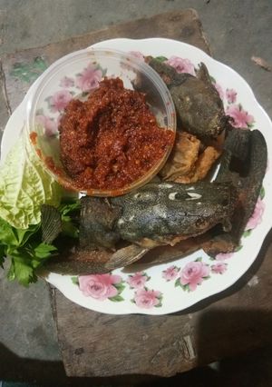 Foto resep Lele goreng original