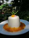 Panna cotta