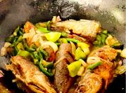 Gambar ikan cucut cabe hijau