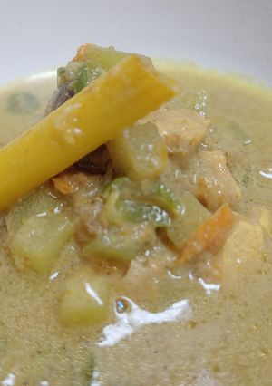 Foto resep Mpasi Gulai ayam